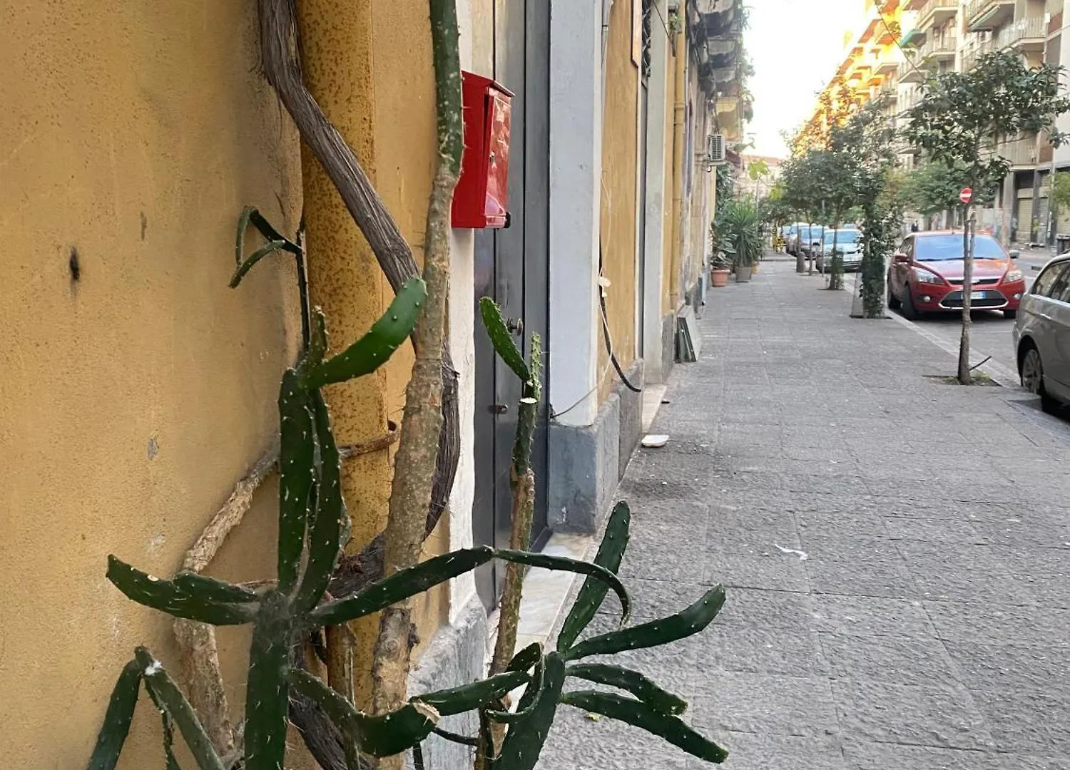 Superior Suite & Apartment Catania Guest house